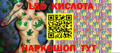 спайс Кунгур