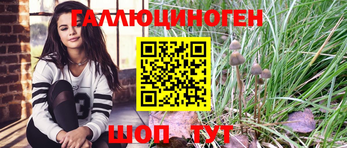 Железногорск  наркошоп  Вход с VPN  Псилоцибиновые грибы мухоморы 
