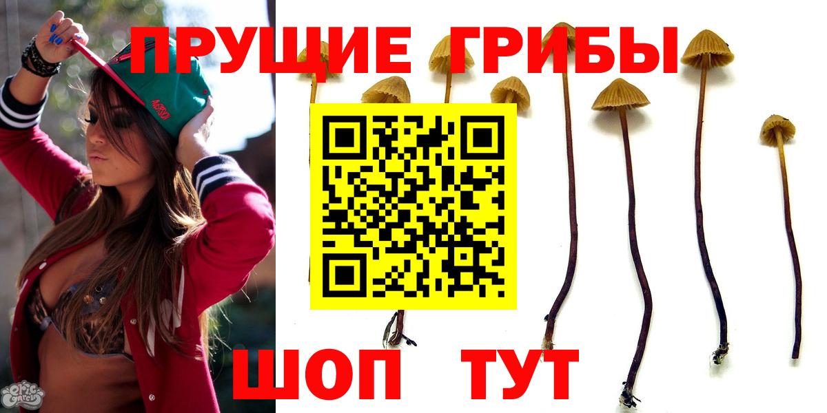 Галлюциногенные грибы MAGIC MUSHROOMS Железногорск