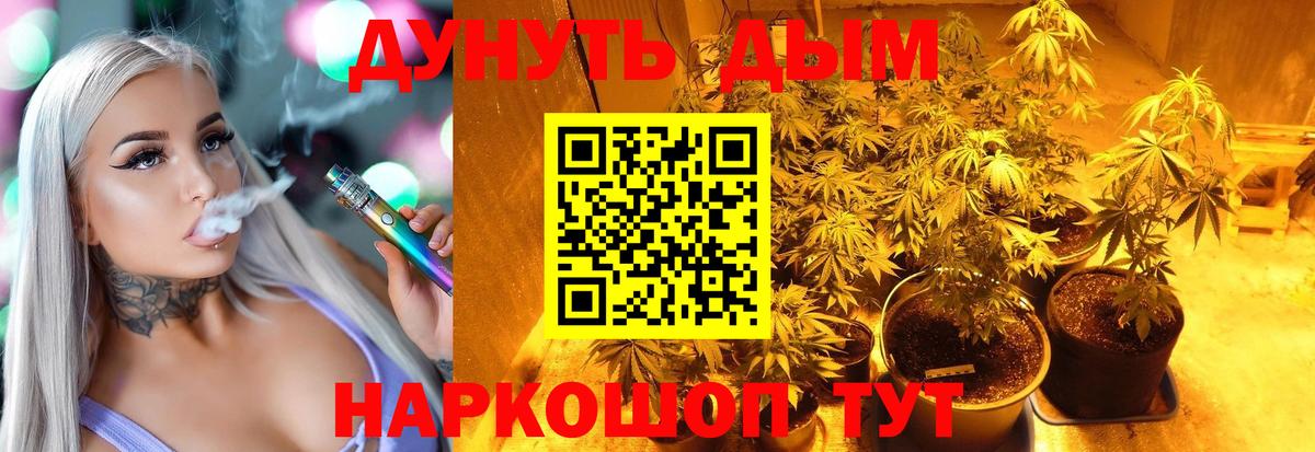 Бошки Шишки сатива Железногорск